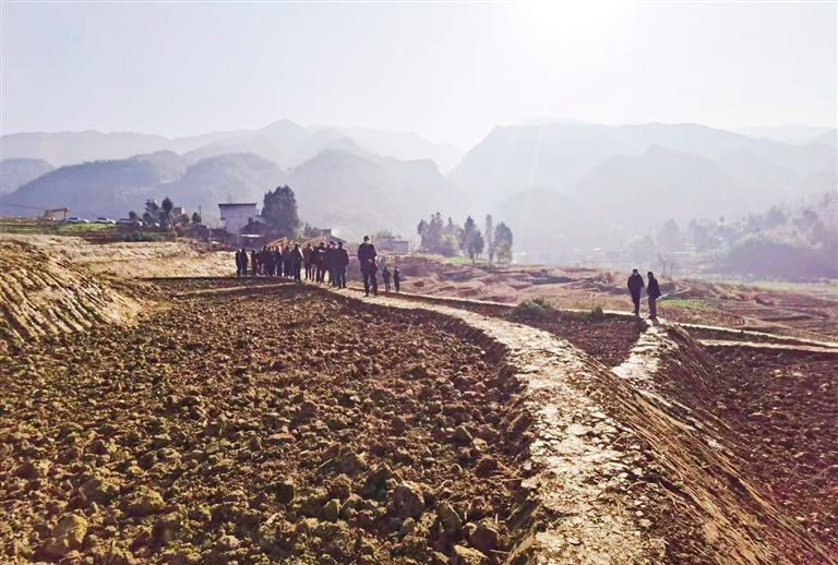 1684921399545513.jpg 004.jpg