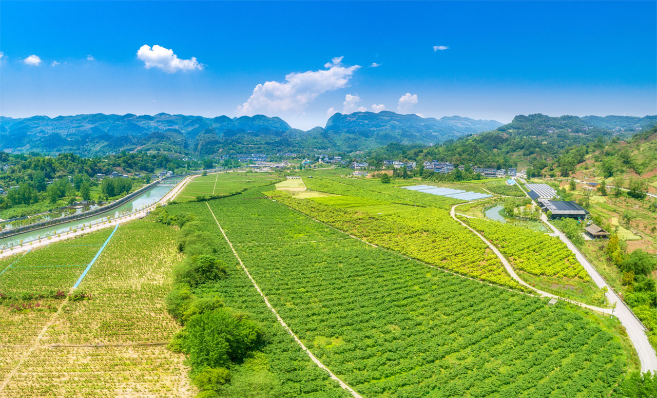 1692955782497490.jpg åªË®²ÏÉ£Ô°.jpg