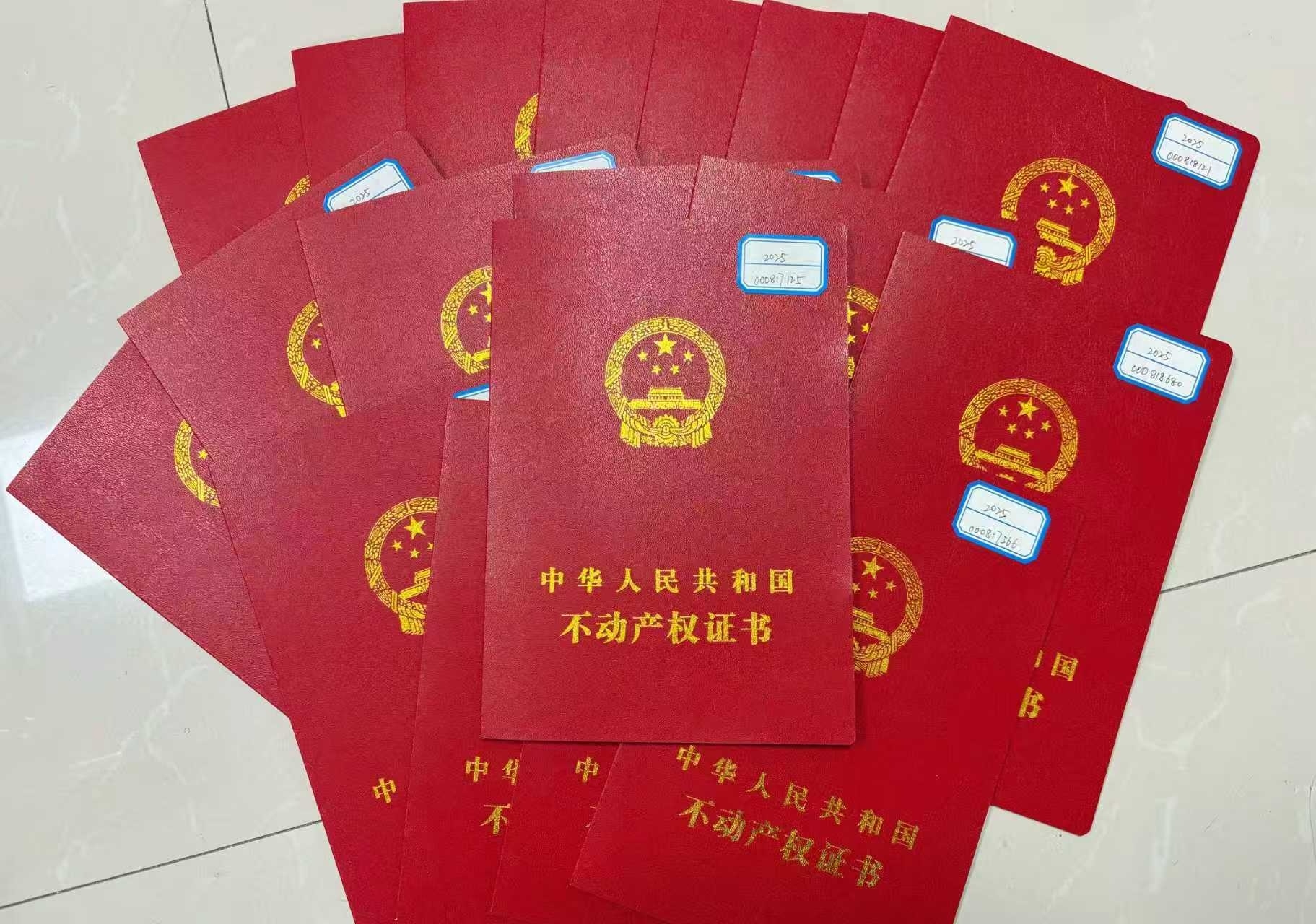 1762417065131380.jpg 1762417065131380.jpg